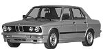 BMW E28 P0BE4 Fault Code